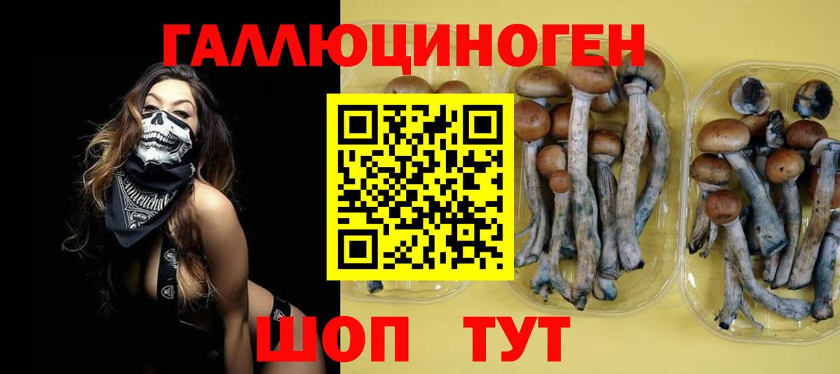Котельники  Псилоцибиновые грибы GOLDEN TEACHER  Вход с VPN 